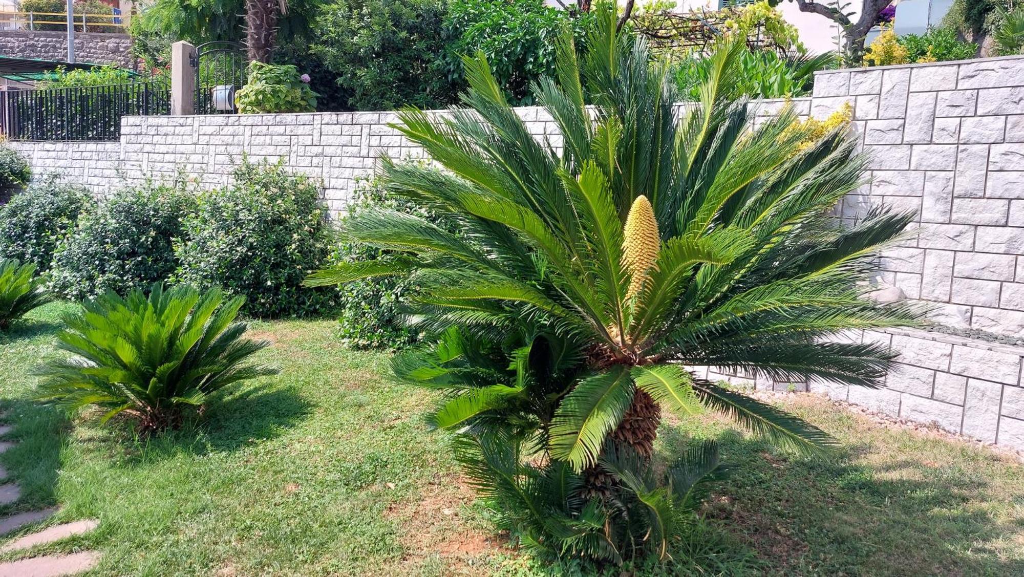 Opatija Centar Apartment Bagian luar foto